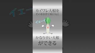 野菜に関するしょうもない雑学