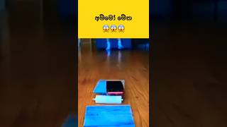 අම්මෝ මේක 😱😱 | amazing video