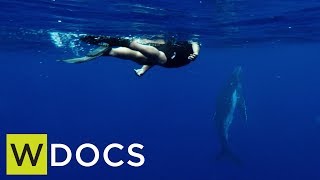 Wireless Docs: Captain Aunofo