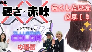 [透明感と艶髪が手に入る✨]日本人のためのカラー剤！大人気！イルミナカラー徹底解説！！PEEK-A-BOOとWELLA対談企画第2弾！