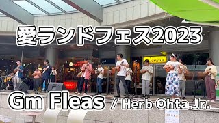 【愛ランド2023】Gm Fleas (Herb Ohta Jr.) を新宿で披露しました！【東京大学 ウクレレ・ヒキナ】