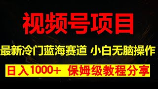 24年视频号冷门蓝海赛道，小白无脑操作，单号收益可达四位数，保姆级教程分享