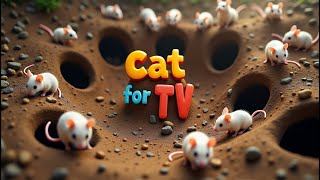 7 Hours Cat TV 😺Mouse and Hide and Seek – Surprise Guest Joins Hide and Seek Game That Drives Cats