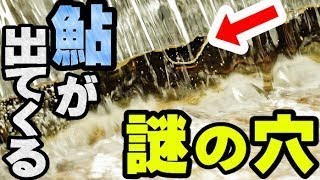 【衝撃映像】大きいルアーを突っ込んだらとんでもない大物が食ってきた！！！！！