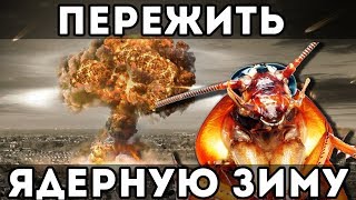 Выживут ли тараканы после ядерного взрыва?