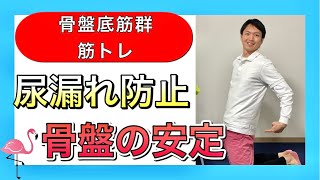 【シニア向けトレーニング】骨盤の締める\u0026支える力を鍛える骨盤底筋群トレーニング