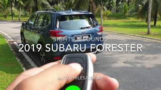 2019 Subaru Forester | Sights \u0026 Sounds