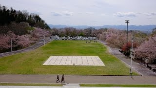 お花見2017-04-27-02　鳥帽子山公園～天童公園～天童市役所～東根市・伊勢そば