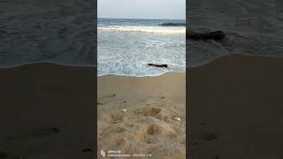 Chennai thiruvanmiyur beach 🏖️⛱️#subscribe #like #support #like #like #subscribe #please