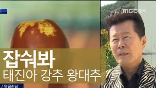 태진아가 즐겨 먹는 이것, 보은 왕대추ㅣMBC충북NEWS