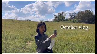 October vlog. 생일주간 친구들도 만나고, 당진 여행에서 인생카페도 가고, 강화 썬셋도 보고,,보고싶은 것 하고 싶은거 먹고 싶은거 다 누려❤️❤️❤️소소한 일상브이로그