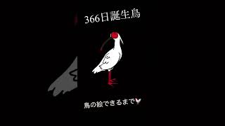 【誕生鳥イラスト】トキ【6月10日】Japanese crested ibis