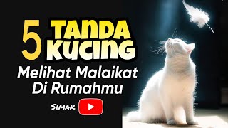 5 TANDA KUCING MELIHAT MALAIKAT DI RUMAHMU