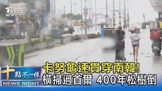 卡努龜速貫穿南韓! 橫掃過首爾 400年松樹倒｜十點不一樣20230810 @TVBSNEWS02