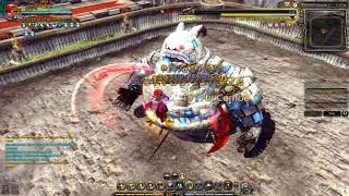 Dragon Nest SEA Bleed Phantom BTG 1 Trillion DPS Test (20 Golem)