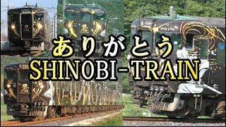 【漆黒の忍者列車】　さよなら113系忍トレイン総集編　タイフォン付き