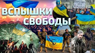 Свободное общество в Украине 2004, 2014, 2022