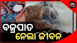 ବଜ୍ରପାତରେ ଜଣେ ବ୍ୟକ୍ତି ମୃତ | Odisha Newsroom