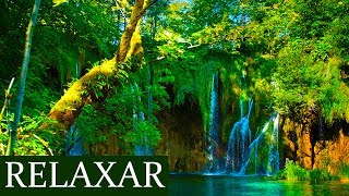 relaxamento acalmar a mente e relaxar chuva