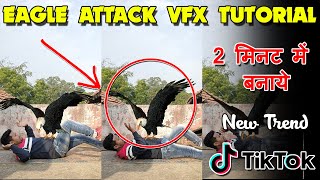 TikTok Eagle Attack VFX Tutorial || TikTok New Trend | Jsr ka Londa