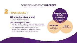 Bureau des activités internationales du Cégep André-Laurendeau - le cégep