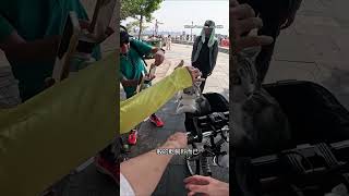 【貓咪光芒】路人爭相合照 主人只有幫拍照的份XD #Shorts @funny_videos