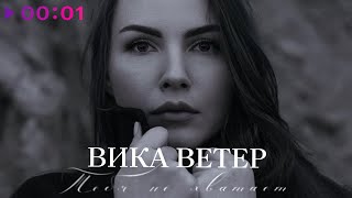 Вика Ветер - Тебя не хватает | Official Audio | 2024