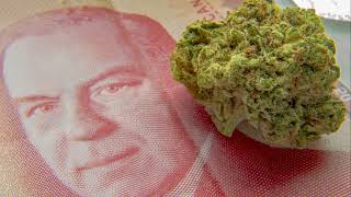 Best cheapest weed in Canada online