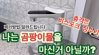 나는  곰팡이물을  마신건  아닐까? 비스포크 정수기 필청영상입니다