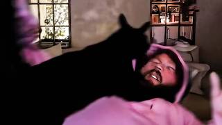 Best CaseOh Moments of 2025 To Fall Asleep To