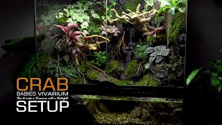 Setup Prevent Crabs Babies from escaping Paludarium｜step by step