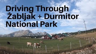 Exploring Žabljak And Durmitor National Park | Driving Tour