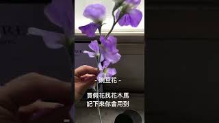 仿真花 人造花 -日本豌豆花 -買假花找花木馬