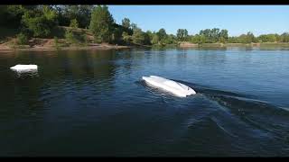 Drone vs  Boat  MHZ 114 Mystic \u0026 TFL F1 Cat