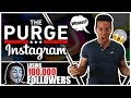 INSTAGRAM PURGE - Buying Followers on Instagram and How to avoid losing followers on instagram?