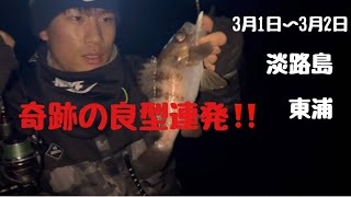 良型メバル・良型カサゴ🎵短時間で当たり連発！⭐春の訪れ【淡路島　釣り】【メバリング】