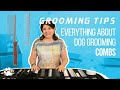 Grooming Tips: everything about dog grooming combs | TRANSGROOM