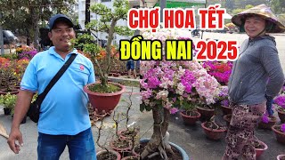 CHỢ HOA XUÂN QUẢNG TRƯỜNG ĐỒNG NAI | BIÊN HÒA Rục rịch Chào Đón TẾT ẤT TỴ 2025 | ĐỒNG NAI TRONG TÔI