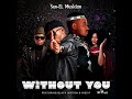 Sun-EL Musician Feat. Black Motion & Miss P - Without You (Official Audio)