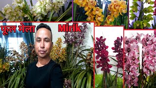 Flower 🌺 show at Mirik Darjeeling/फूल💐 मेला मिरिक/Orchids n seasonal flowers show 🥀🌷🏵️🌻 shyammevlog