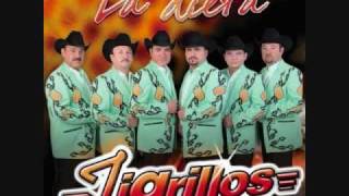 Los Tigrillos - La Dieta