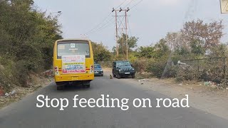 Risky business! Stop feeding on the road, Close!