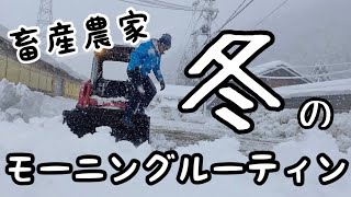 畜産農家の冬のモーニングルーティン