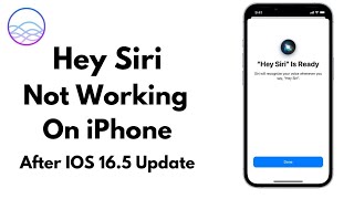Hey Siri Not Working On iPhone After Update iOS 16.5 - Siri & Search Not Working On iPhone Fix 2023
