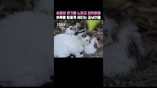 서로의 온기를 나누는것 말고는...ㅠ