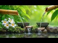 relaxing piano music insomnia 🌿 peaceful piano music healing music meditation music deep sleep