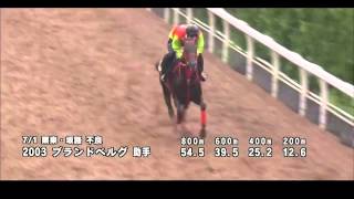 【競馬HD】2015 7 1 ラジオNIKKEI賞 ブランドベルグ 調教動画