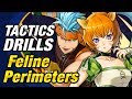 Fire Emblem Heroes - Tactics Drills: Skill Studies 50: Feline Perimeters [FEH]