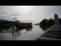 boat trip in balik pulau mangrove