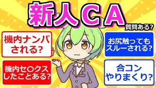 【2chまとめ】新人CAだけど質問ある？【ずんだもん】